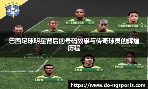 ng体育